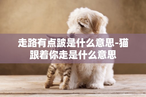 走路有點跛是什么意思-貓跟著你走是什么意思