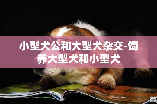 小型犬公和大型犬雜交-飼養大型犬和小型犬