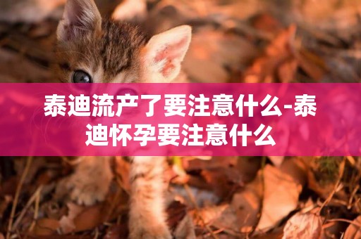 泰迪流產了要注意什么-泰迪懷孕要注意什么 泰迪流產了要注意什么-泰迪懷孕要注意什么