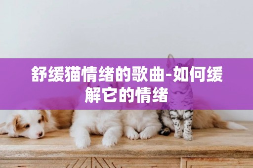 舒緩貓情緒的歌曲-如何緩解它的情緒