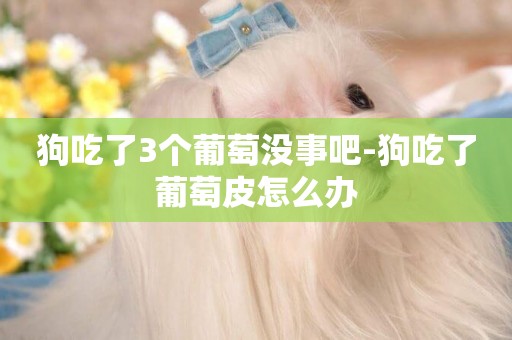 狗吃了3個葡萄沒事吧-狗吃了葡萄皮怎么辦