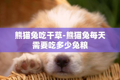 熊貓兔吃干草-熊貓兔每天需要吃多少兔糧