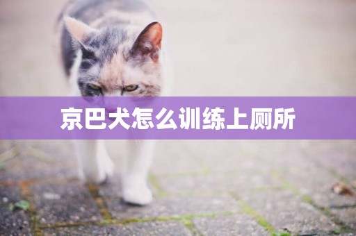 京巴犬怎么訓練上廁所