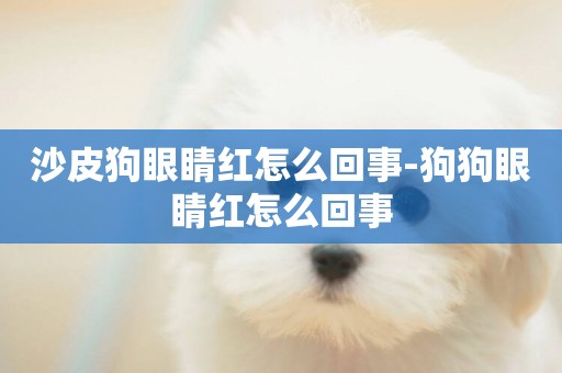 沙皮狗眼睛紅怎么回事-狗狗眼睛紅怎么回事