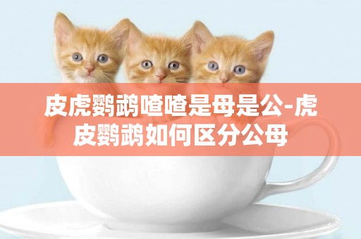 皮虎鸚鵡喳喳是母是公-虎皮鸚鵡如何區分公母