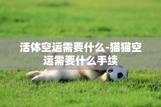 活體空運需要什么-貓貓空運需要什么手續