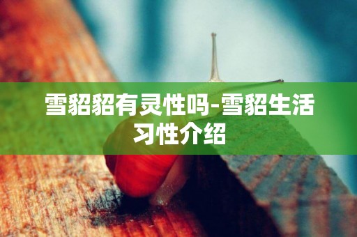 雪貂貂有靈性嗎-雪貂生活習性介紹