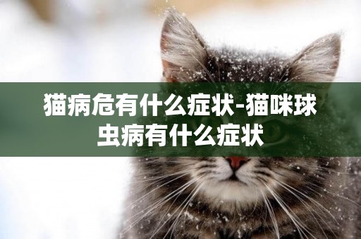 貓病危有什么癥狀-貓咪球蟲病有什么癥狀