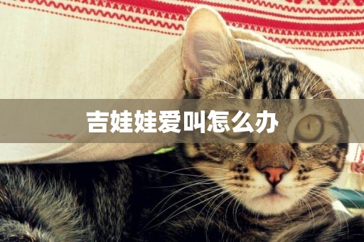 吉娃娃愛叫怎么辦