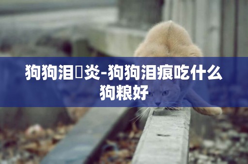 狗狗淚湶炎-狗狗淚痕吃什么狗糧好