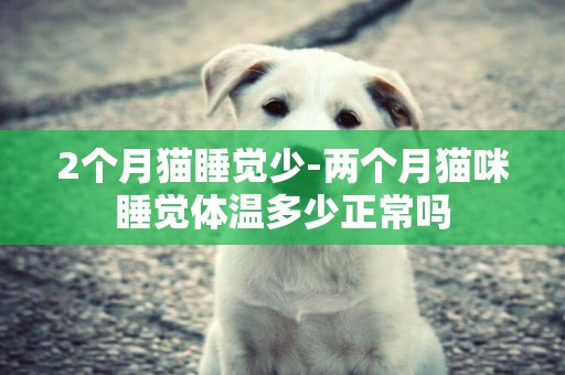 2個月貓睡覺少-兩個月貓咪睡覺體溫多少正常嗎