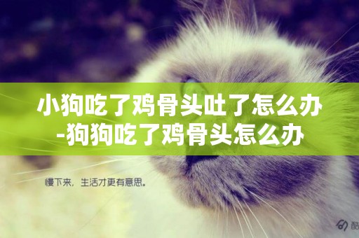 小狗吃了雞骨頭吐了怎么辦-狗狗吃了雞骨頭怎么辦