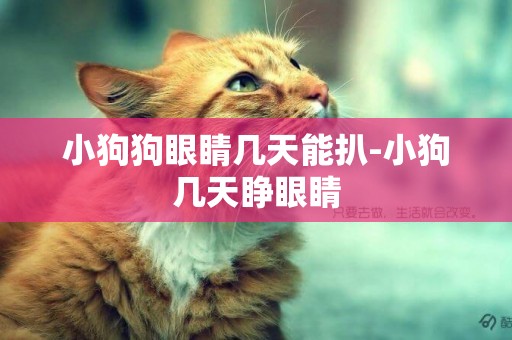 小狗狗眼睛幾天能扒-小狗幾天睜眼睛