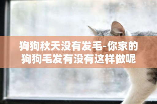 狗狗秋天沒有發毛-你家的狗狗毛發有沒有這樣做呢