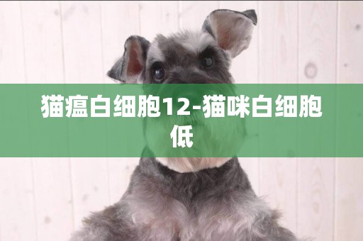貓瘟白細胞12-貓咪白細胞低