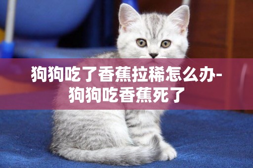 狗狗吃了香蕉拉稀怎么辦-狗狗吃香蕉死了