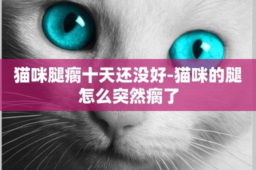 貓咪腿瘸十天還沒好-貓咪的腿怎么突然瘸了