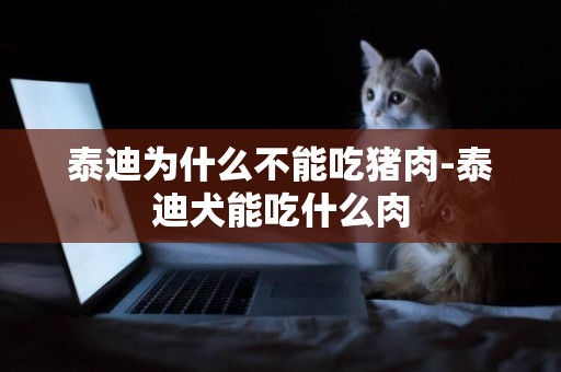 泰迪為什么不能吃豬肉-泰迪犬能吃什么肉