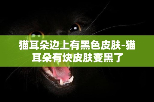 貓耳朵邊上有黑色皮膚-貓耳朵有塊皮膚變黑了