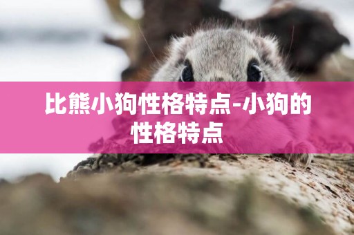 比熊小狗性格特點-小狗的性格特點