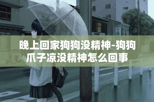 晚上回家狗狗沒精神-狗狗爪子涼沒精神怎么回事