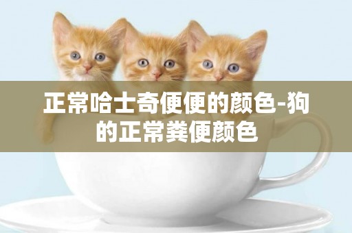 正常哈士奇便便的顏色-狗的正常糞便顏色