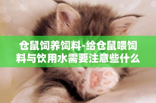 倉鼠飼養飼料-給倉鼠喂飼料與飲用水需要注意些什么