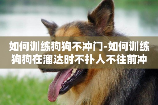 如何訓練狗狗不沖門-如何訓練狗狗在溜達時不撲人不往前沖