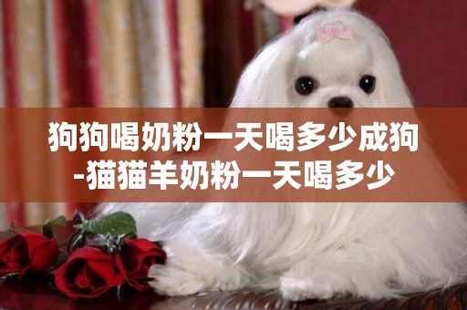 狗狗喝奶粉一天喝多少成狗-貓貓羊奶粉一天喝多少