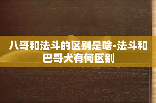 八哥和法斗的區別是啥-法斗和巴哥犬有何區別