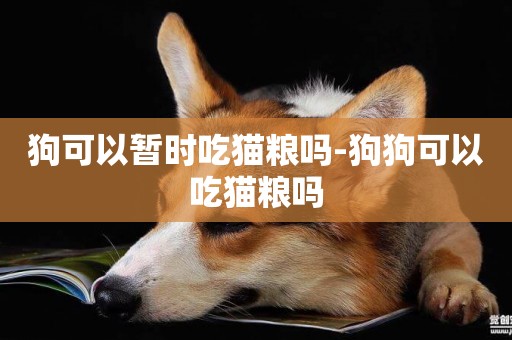 狗可以暫時吃貓糧嗎-狗狗可以吃貓糧嗎