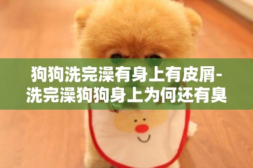 狗狗洗完澡有身上有皮屑-洗完澡狗狗身上為何還有臭味