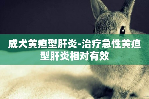 成犬黃疸型肝炎-治療急性黃疸型肝炎相對有效
