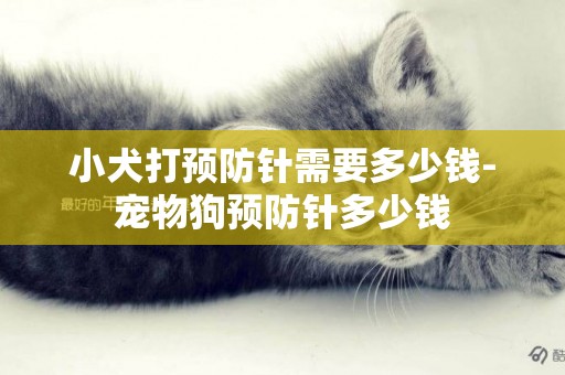 小犬打預防針需要多少錢-寵物狗預防針多少錢