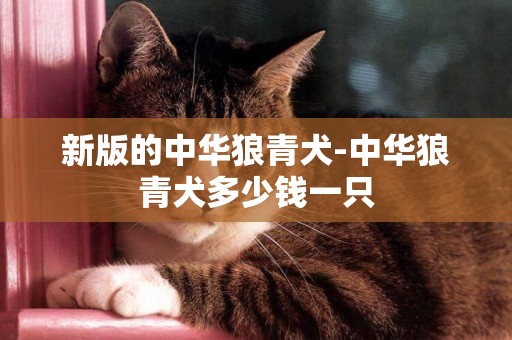 新版的中華狼青犬-中華狼青犬多少錢一只