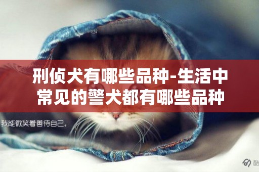 刑偵犬有哪些品種-生活中常見的警犬都有哪些品種