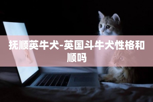 撫順英牛犬-英國斗牛犬性格和順嗎