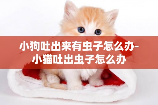 小狗吐出來有蟲子怎么辦-小貓吐出蟲子怎么辦