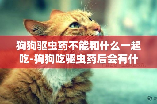 狗狗驅蟲藥不能和什么一起吃-狗狗吃驅蟲藥后會有什么反應
