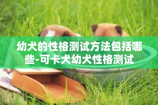 幼犬的性格測試方法包括哪些-可卡犬幼犬性格測試