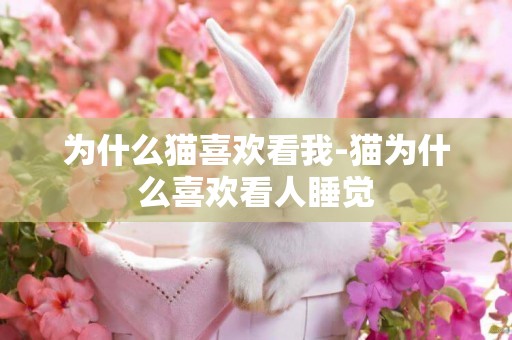 為什么貓喜歡看我-貓為什么喜歡看人睡覺
