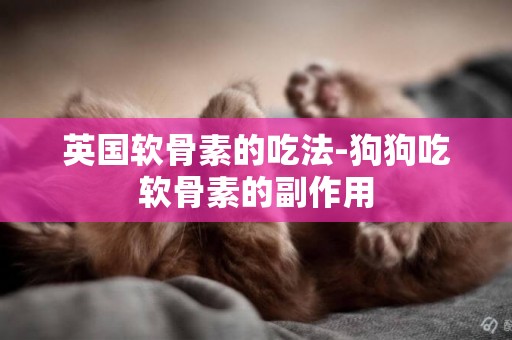 英國軟骨素的吃法-狗狗吃軟骨素的副作用