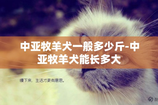 中亞牧羊犬一般多少斤-中亞牧羊犬能長多大