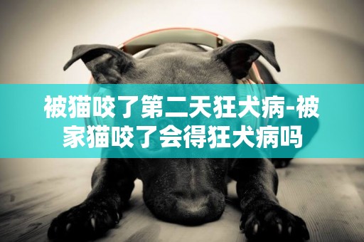 被貓咬了第二天狂犬病-被家貓咬了會得狂犬病嗎