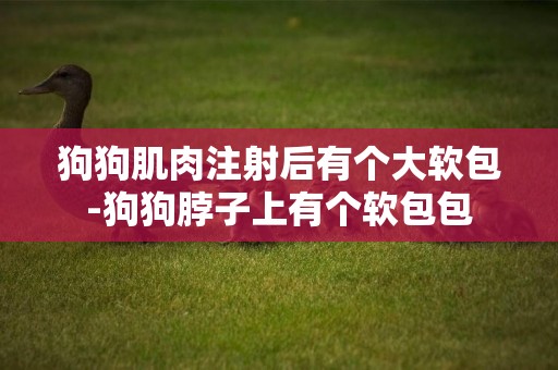 狗狗肌肉注射后有個大軟包-狗狗脖子上有個軟包包