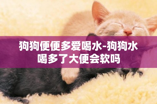 狗狗便便多愛喝水-狗狗水喝多了大便會軟嗎