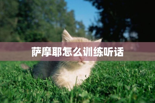 薩摩耶怎么訓練聽話