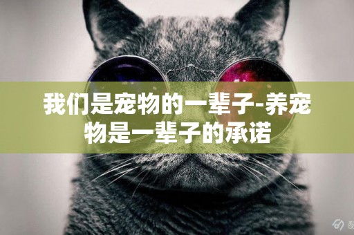 我們是寵物的一輩子-養寵物是一輩子的承諾