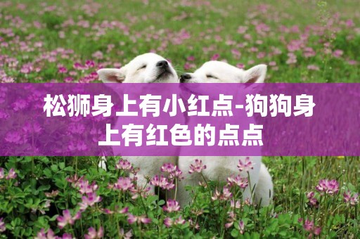松獅身上有小紅點-狗狗身上有紅色的點點