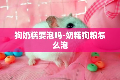 狗奶糕要泡嗎-奶糕狗糧怎么泡